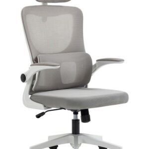 Fauteuil Ergonomique Premium Gris