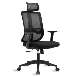 Siège Ergonomique Mesh Executive